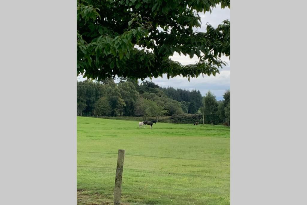 Highland Cosy 2 Bedroom Cottage In Tore Muir Of Ord On Nc500 외부 사진